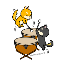 The Hotpot Shiba Friends playing the timpani drums together
